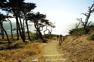 12 Best Hikes in the San Francisco Bay Area for All Skill Levels