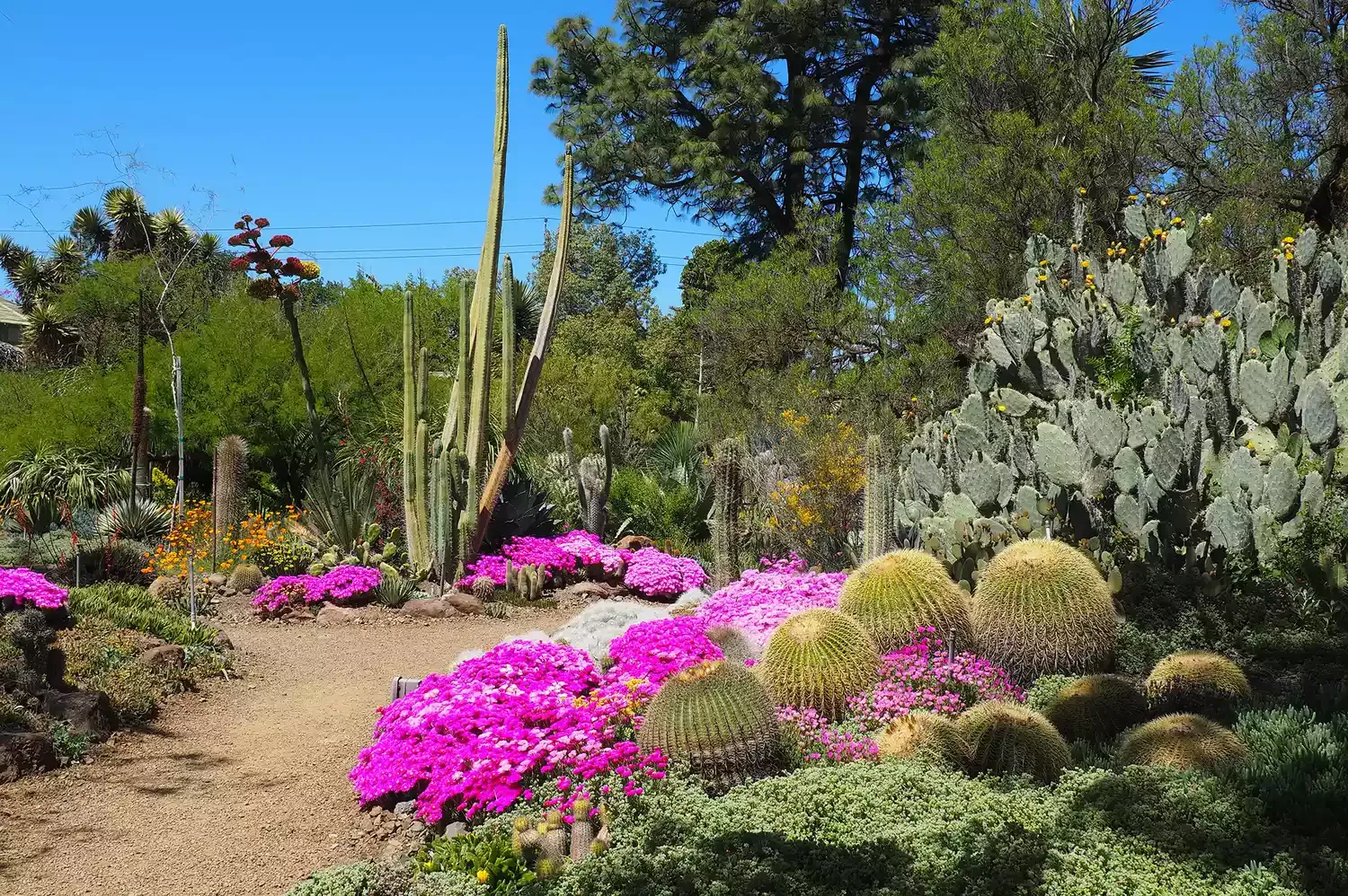This Tiny California Garden Was Named the Most Beautiful in the World