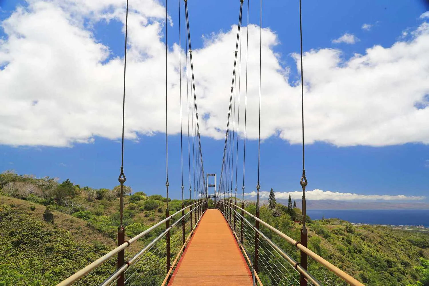 Hawaii's Longest Suspension Bridge Hovers 1,600 Feet Above the Maui Coastline — and You Can Walk Across It