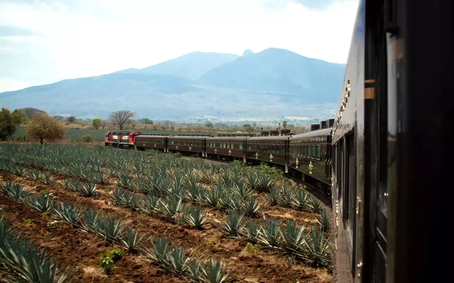 You Can Take a Tequila Train to Mexico's Most Magical Town