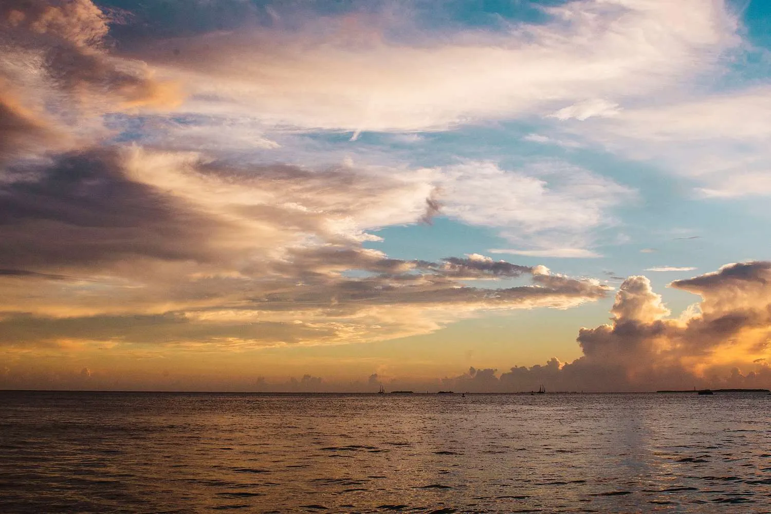 27 Best Things to Do in the Florida Keys, From Wildlife Encounters to Key Lime Pie Tastings
