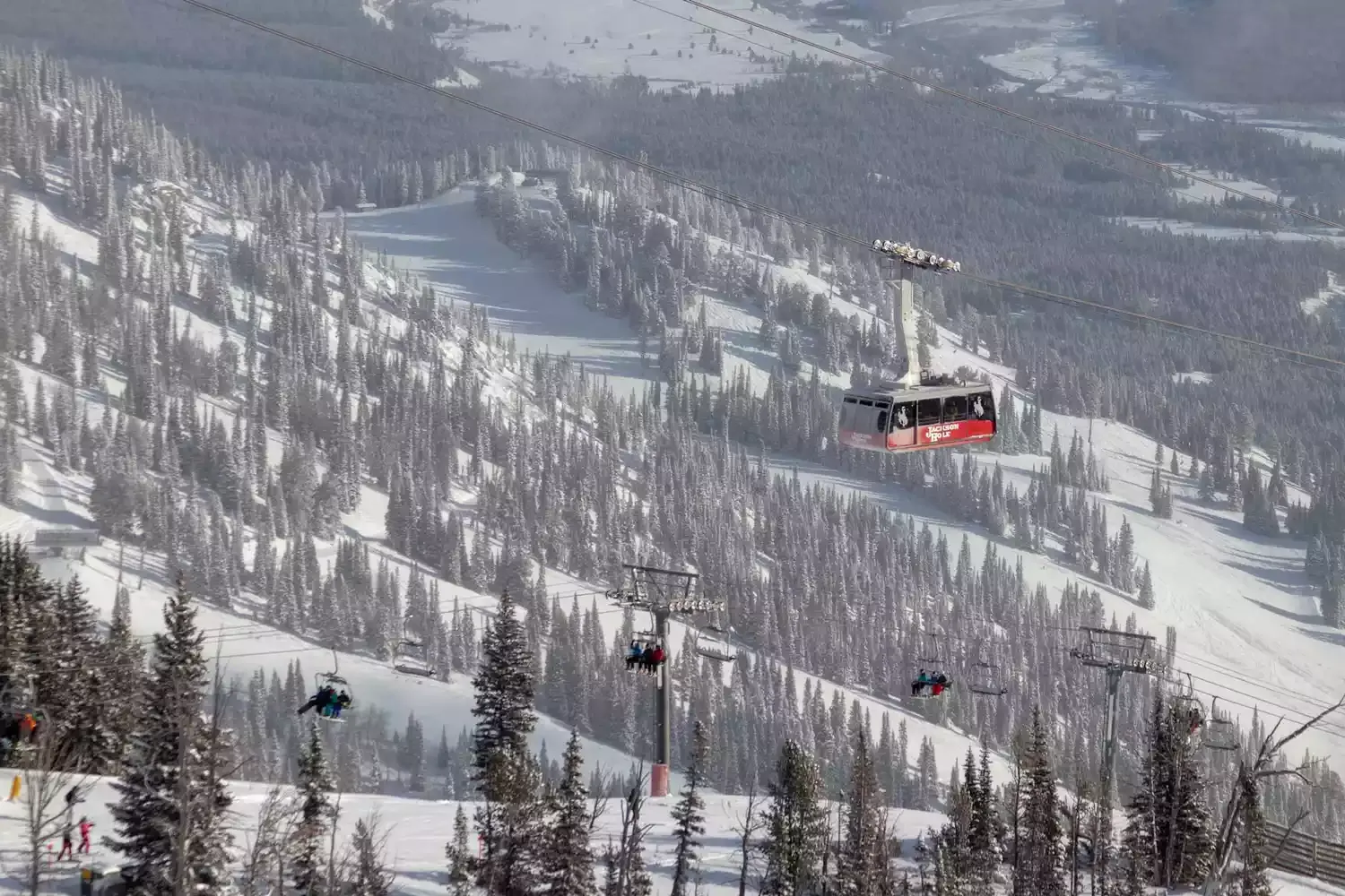 Jackson Hole Mountain Resort Is Home to One of the Steepest Ski Runs in North America — but It's Still a Beginner's Paradise
