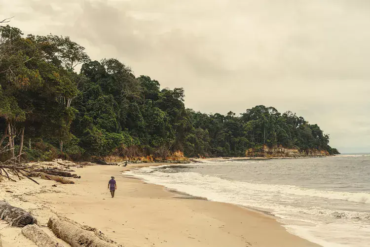 This Off-the-radar Country Is a Must-visit Safari Destination—How to Plan a Trip