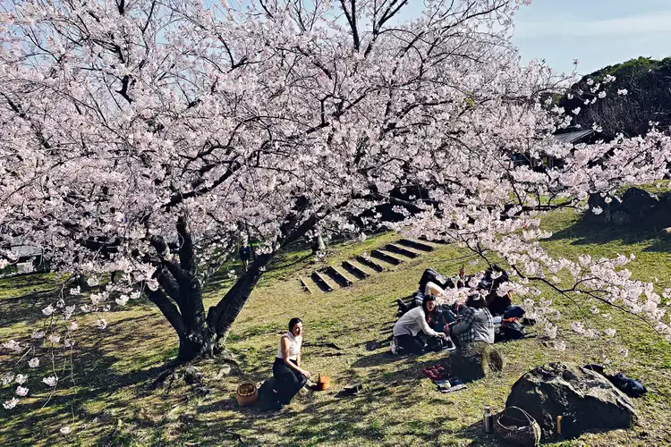 You Can Taste the Four Seasons of Japan at This All-inclusive Culinary Retreat in Kyushu