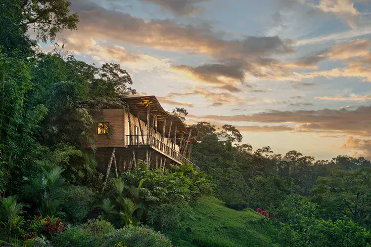 Escape Winter's Chill: My Review of a Stunning New Jungle Lodge in Costa Rica